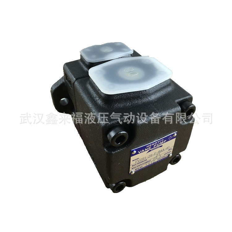 柱塞泵同時出現(xiàn)振動和噪聲問題該怎么辦？